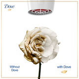 Dove Intense Repair Shampoo - 360ML