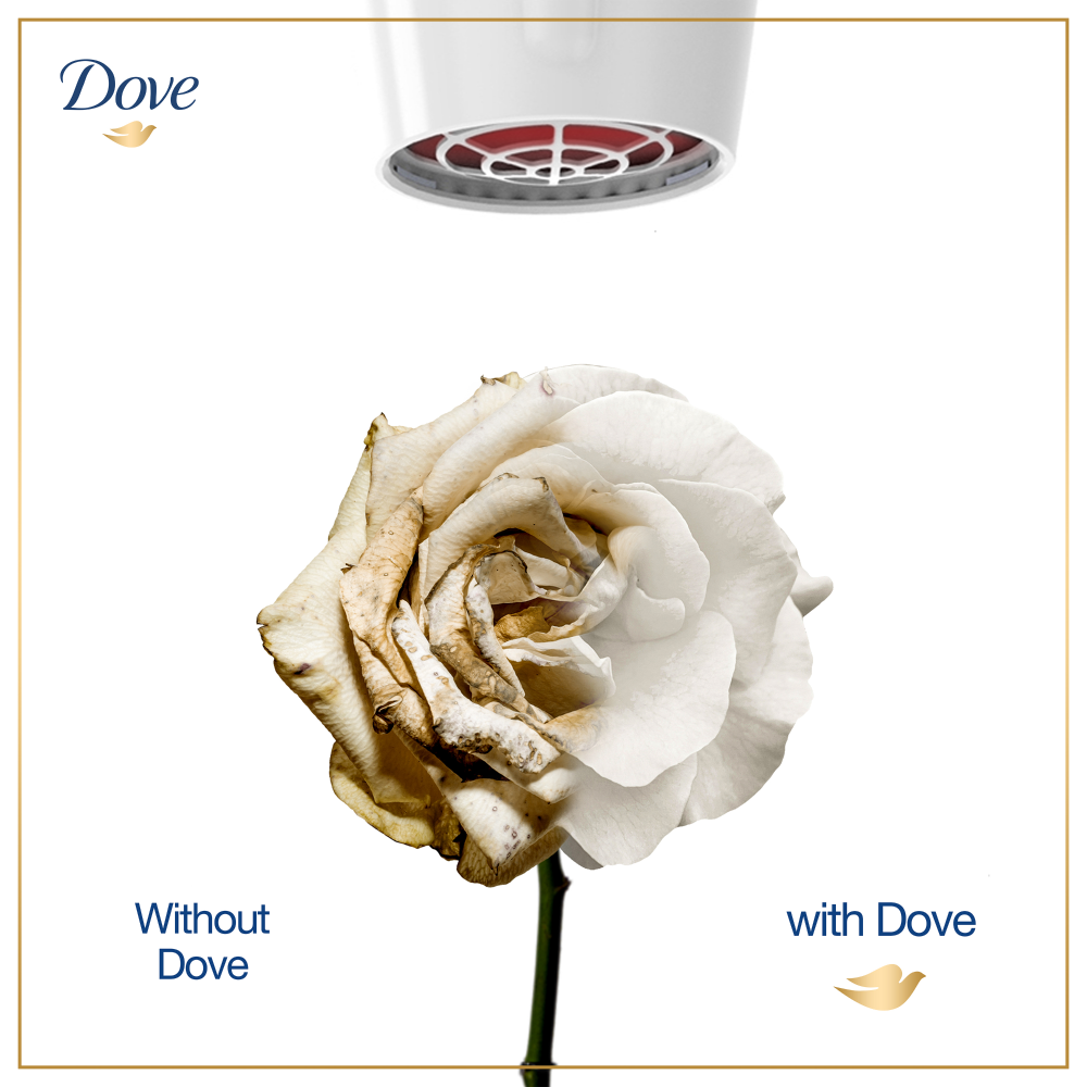 Dove Intense Repair Shampoo - 175ML