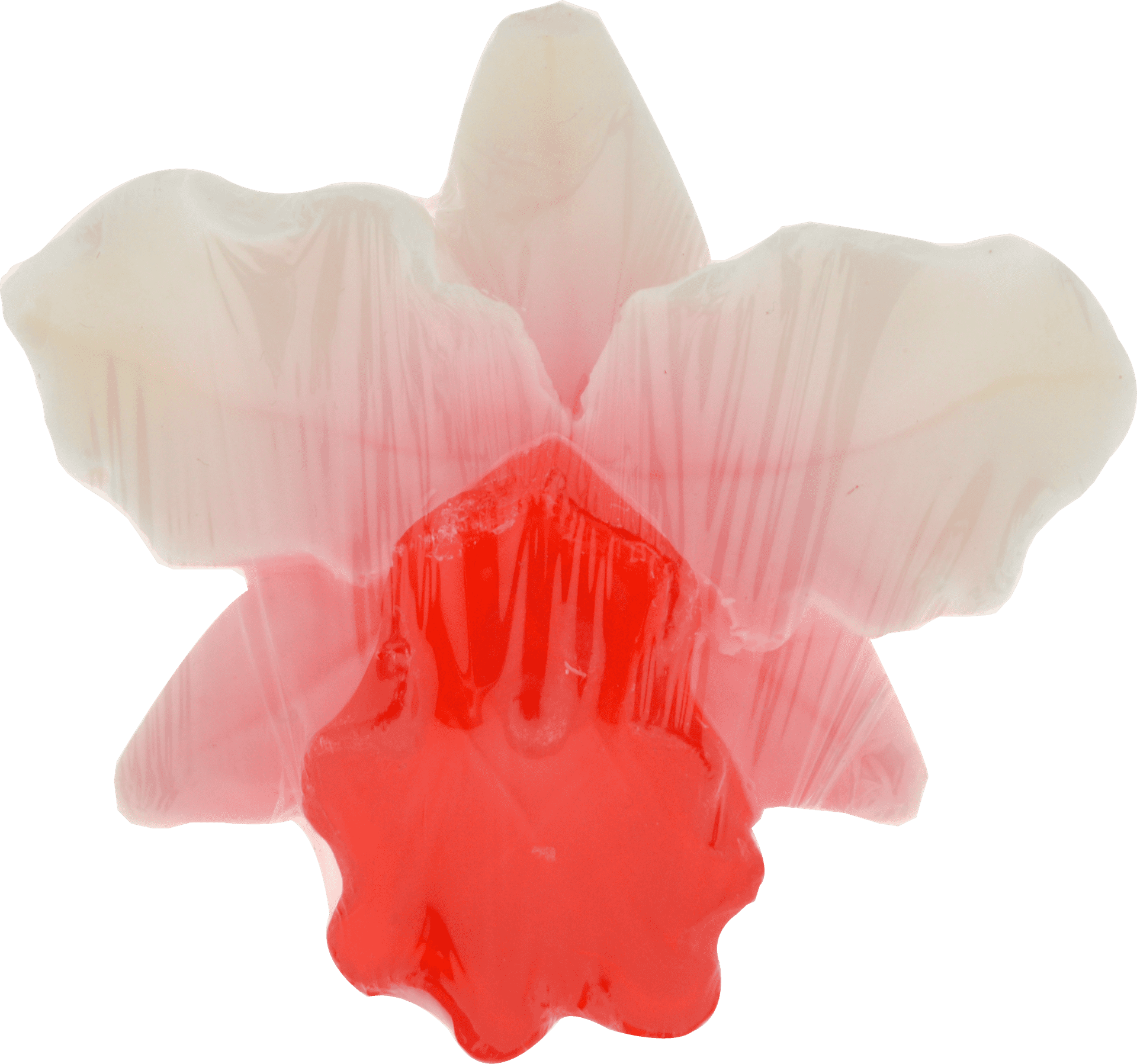 Hemani Fruit Soap Orchid - Premium  from Hemani - Just Rs 475.00! Shop now at Cozmetica