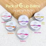 Lip Balm Bundle Pack Of 6 - Premium  from Tuffy Organics - Just Rs 1646! Shop now at Cozmetica