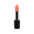 Gabrini GB Matte Lipstick A - 05 - Premium Lipstick from Gabrini - Just Rs 965! Shop now at Cozmetica