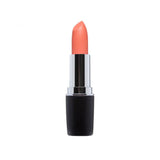 Gabrini GB Matte Lipstick A - 05 - Premium Lipstick from Gabrini - Just Rs 965! Shop now at Cozmetica